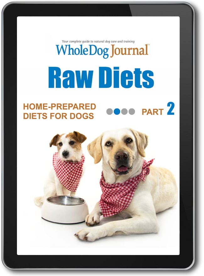 Prepared raw food for dogs cheap