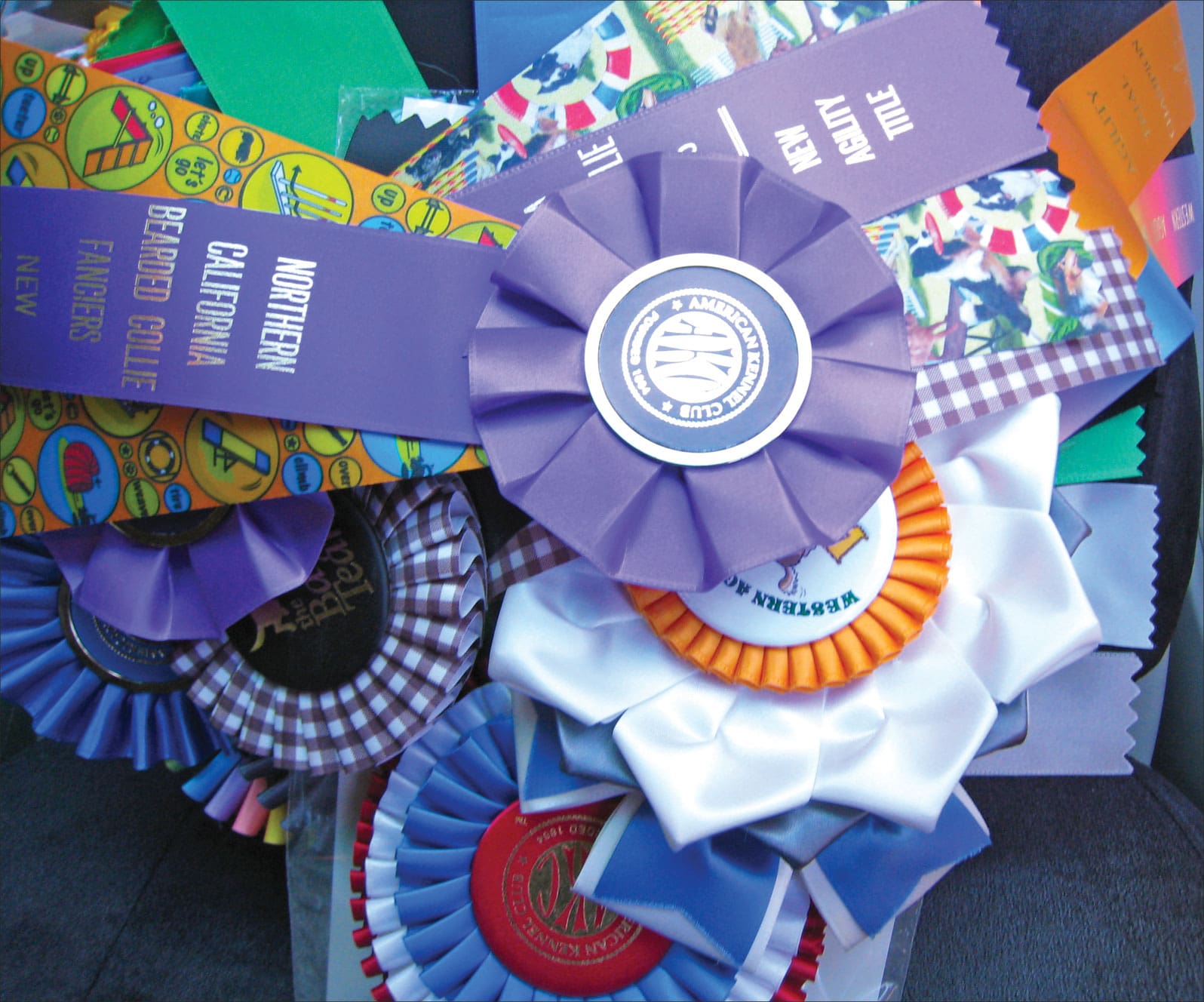 dog show ribbons