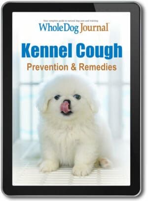 Kennel Cough