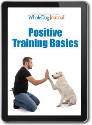 Positive Training Basics