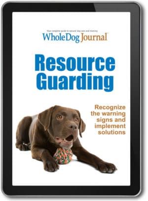 Resource Guarding eBook