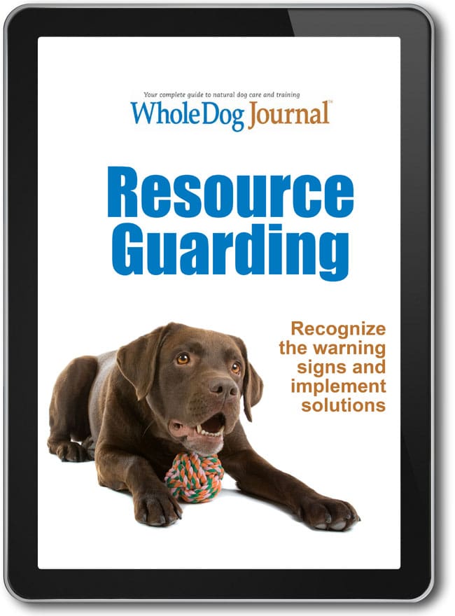 Resource Guarding eBook