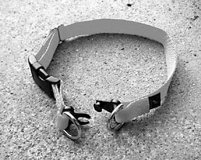 breakable dog collar