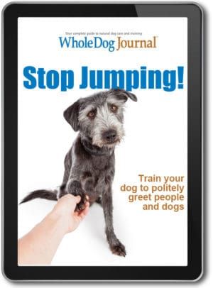 Stop Jumping!