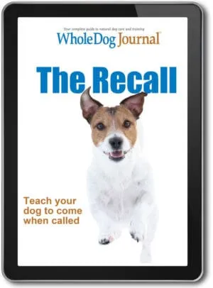 The Recall: Teach Your Dog To Come When Called