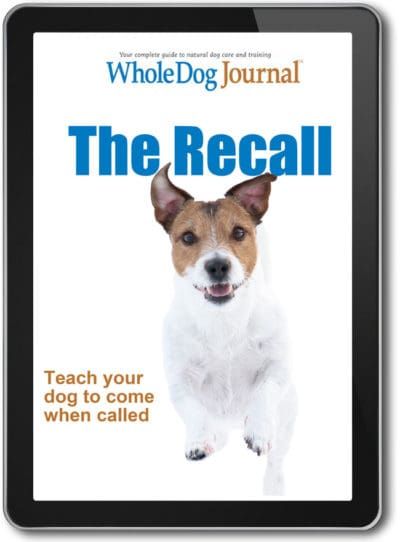 The Recall: Teach Your Dog To Come When Called