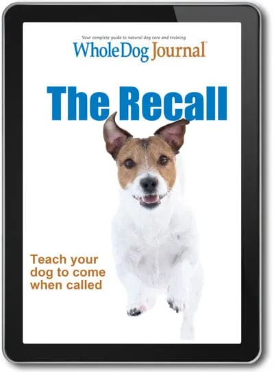 The Recall: Teach Your Dog To Come When Called
