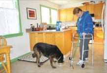 dog and person with walker