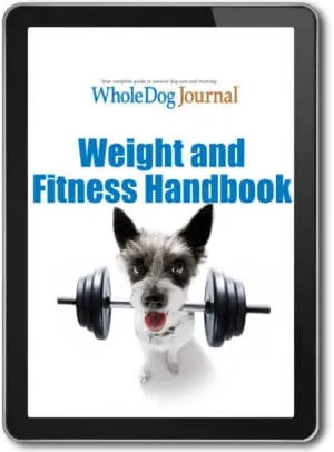 Weight & Fitness Handbook
