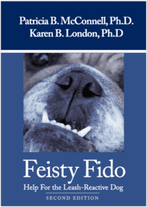 Feisty Fido