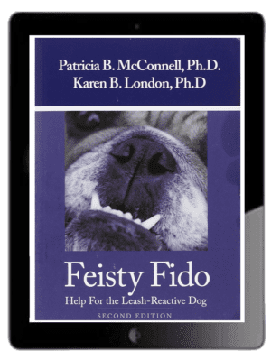 Feisty Fido - Ebook