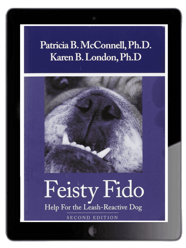 Feisty Fido - Ebook