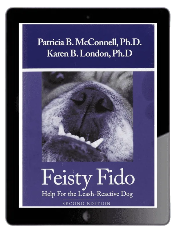 Feisty Fido - Ebook