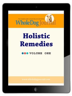 Holistic Remedies Vol. 1
