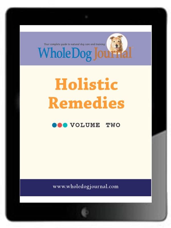 Holistic Remedies Vol. 2