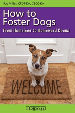 How to Foster Dogs