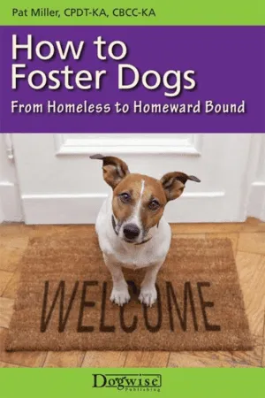 How to Foster Dogs
