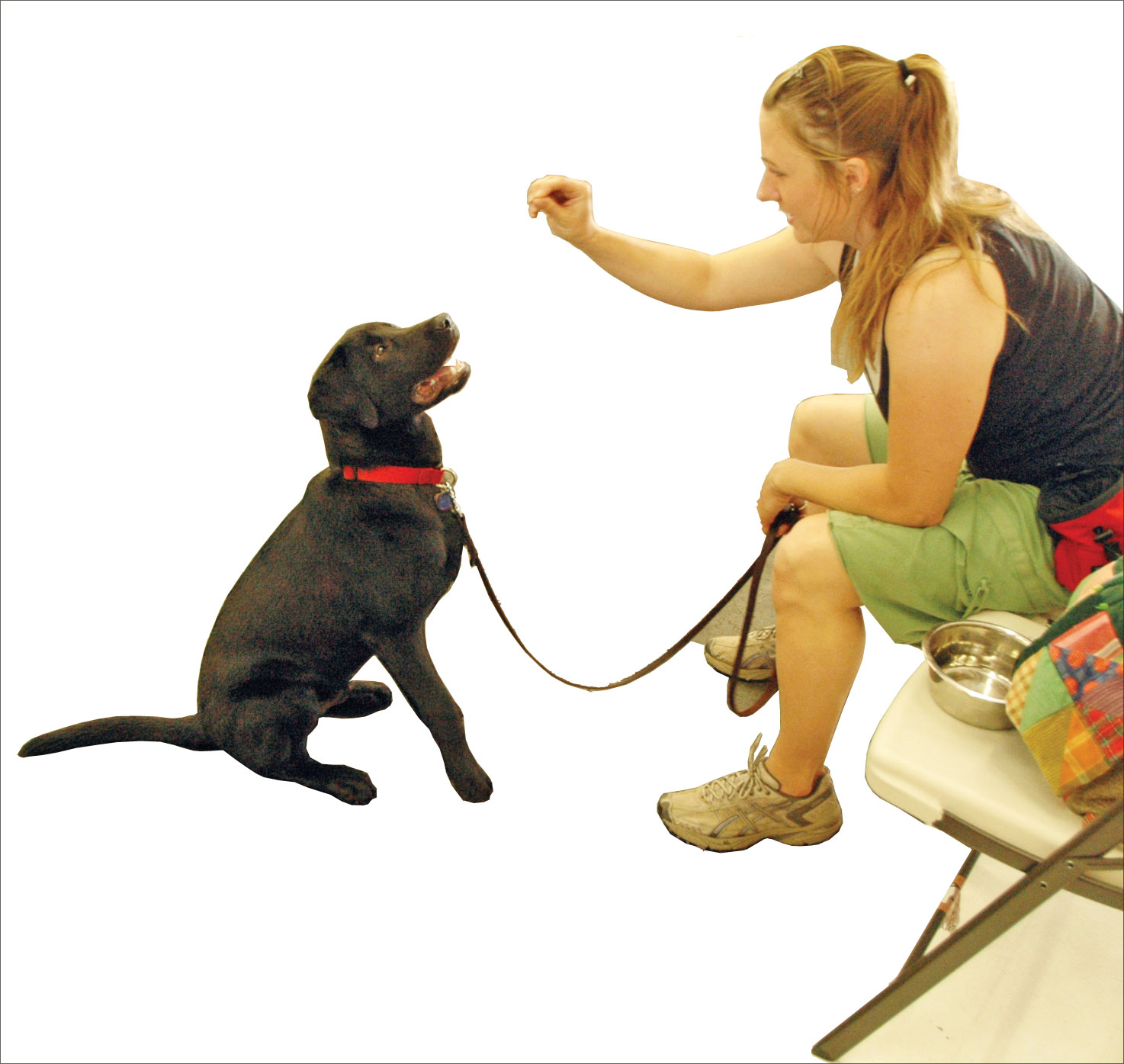 training dog with a lure