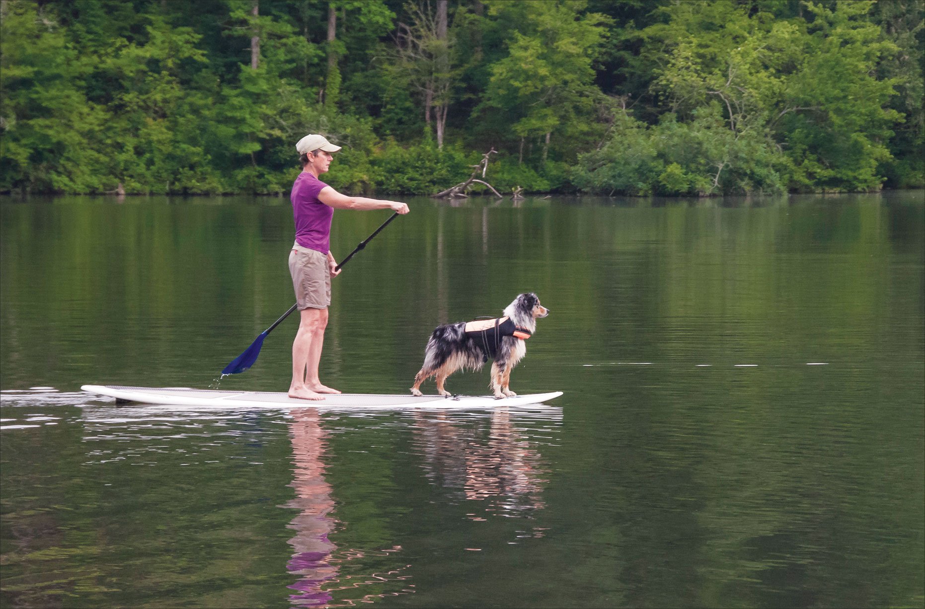 paddleboarding with a dog
