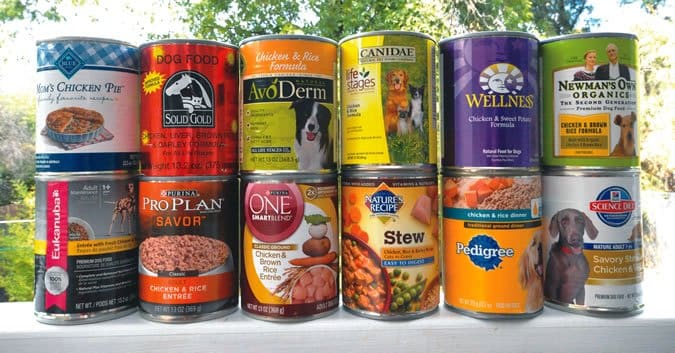 healthy canned dog food