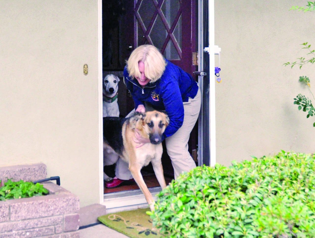 dog trying to escape door