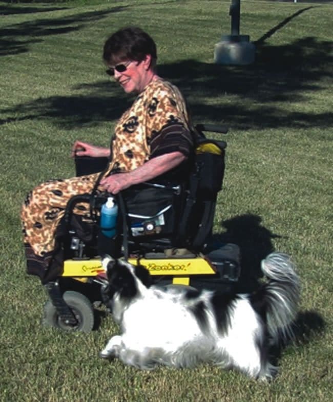 Papillon service dog