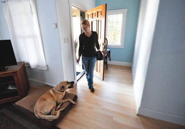 train dog to be calm at the door