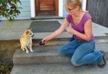 woman holding nail clippers near dog