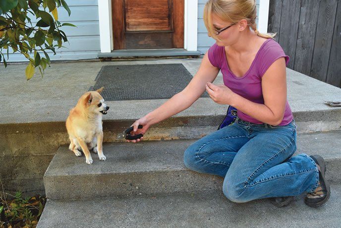 woman holding nail clippers near dog