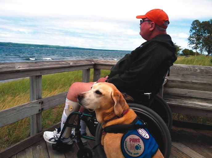 service dog and handler