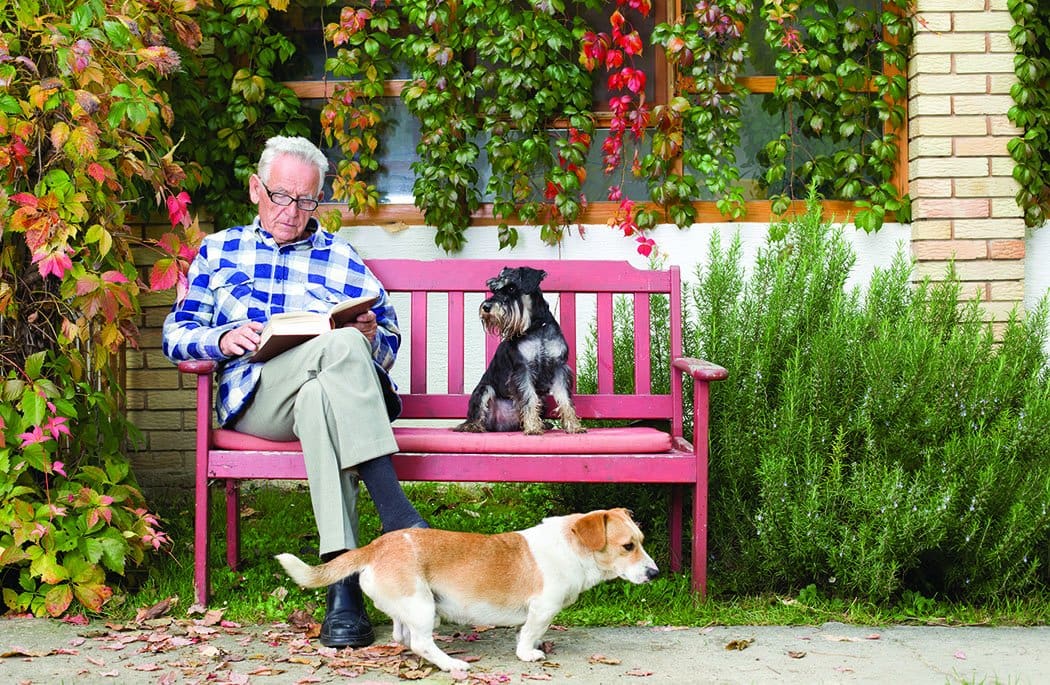 The best books about dogs provide insights that can make you a better owner.