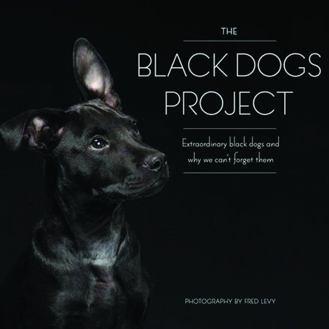 The Black Dogs Project by Fred Levy