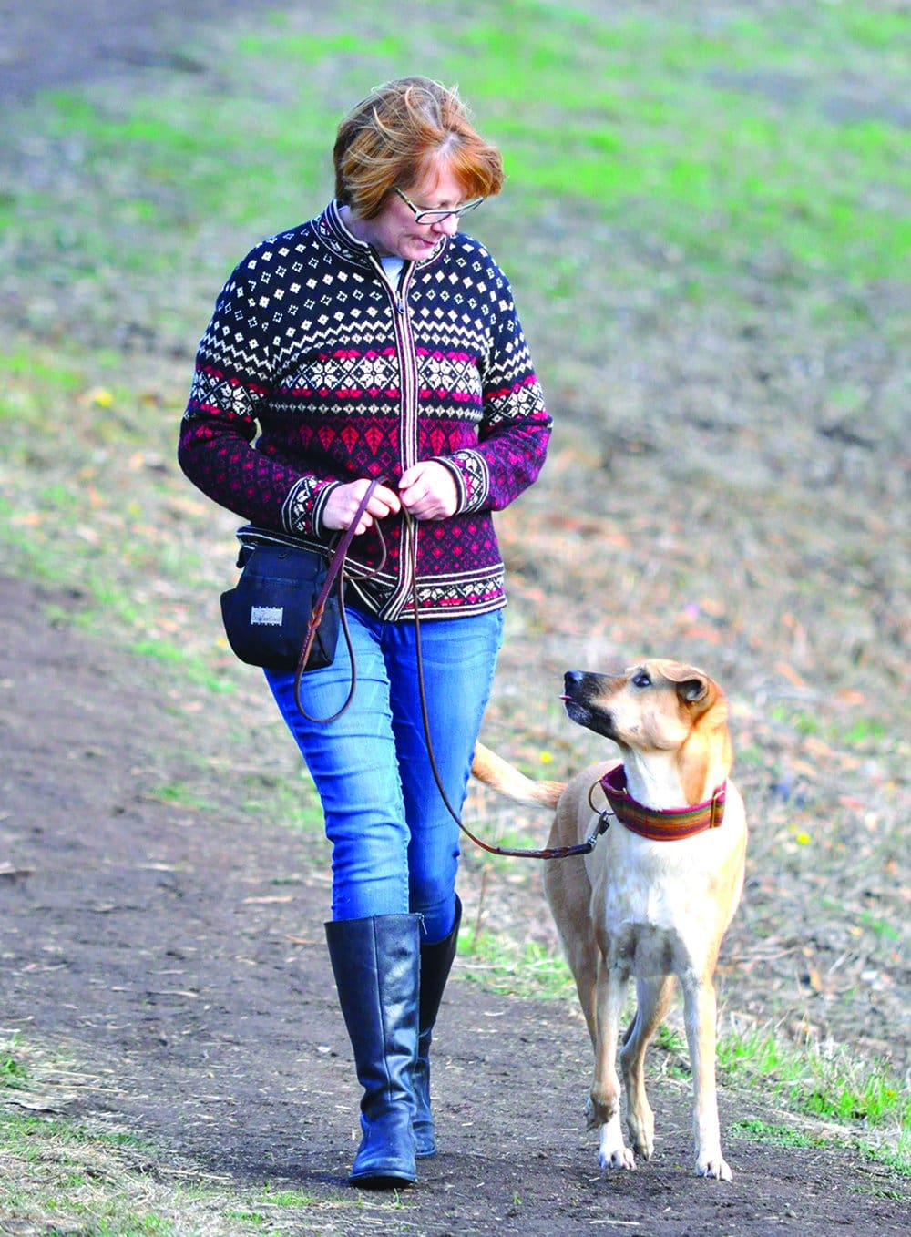 eye contact in dog training