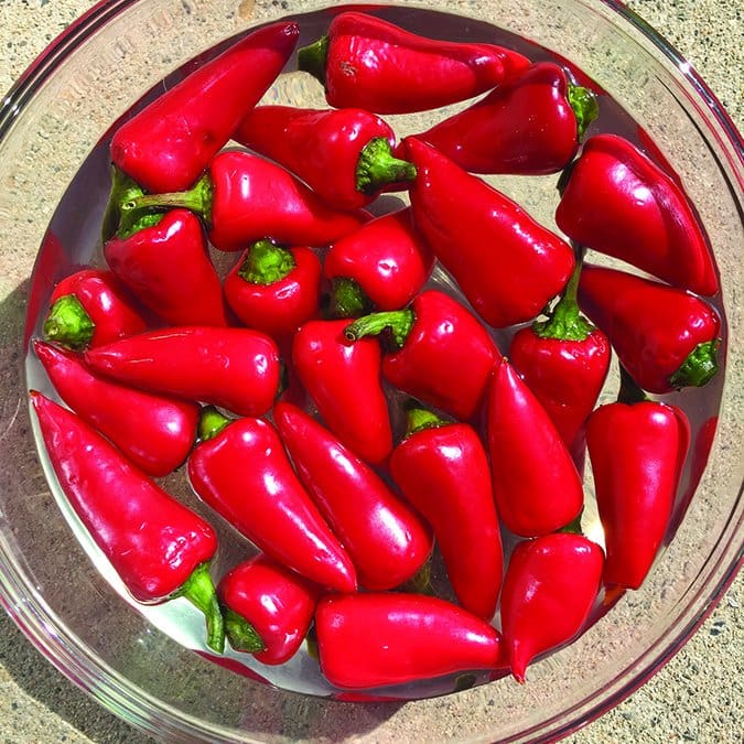 cayenne peppers