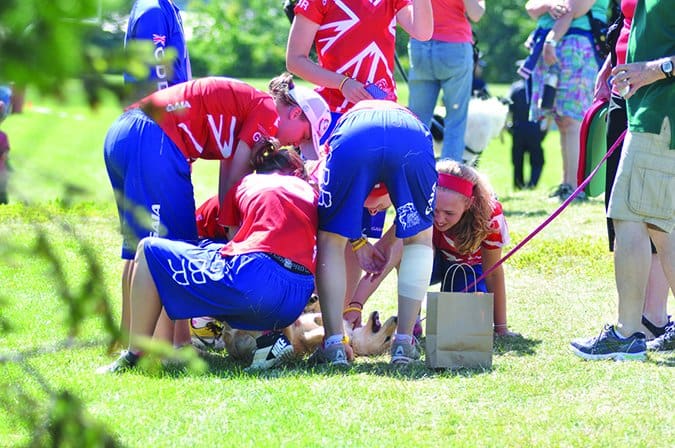 A puppy lays on her back n the middle of a scrum of young people who are petting her