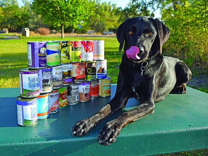 canned dog food