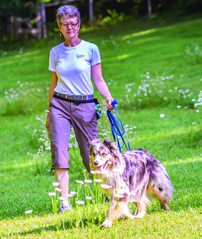 dog trainer lisa lyle waggoner