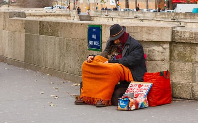 Panhandler with dog