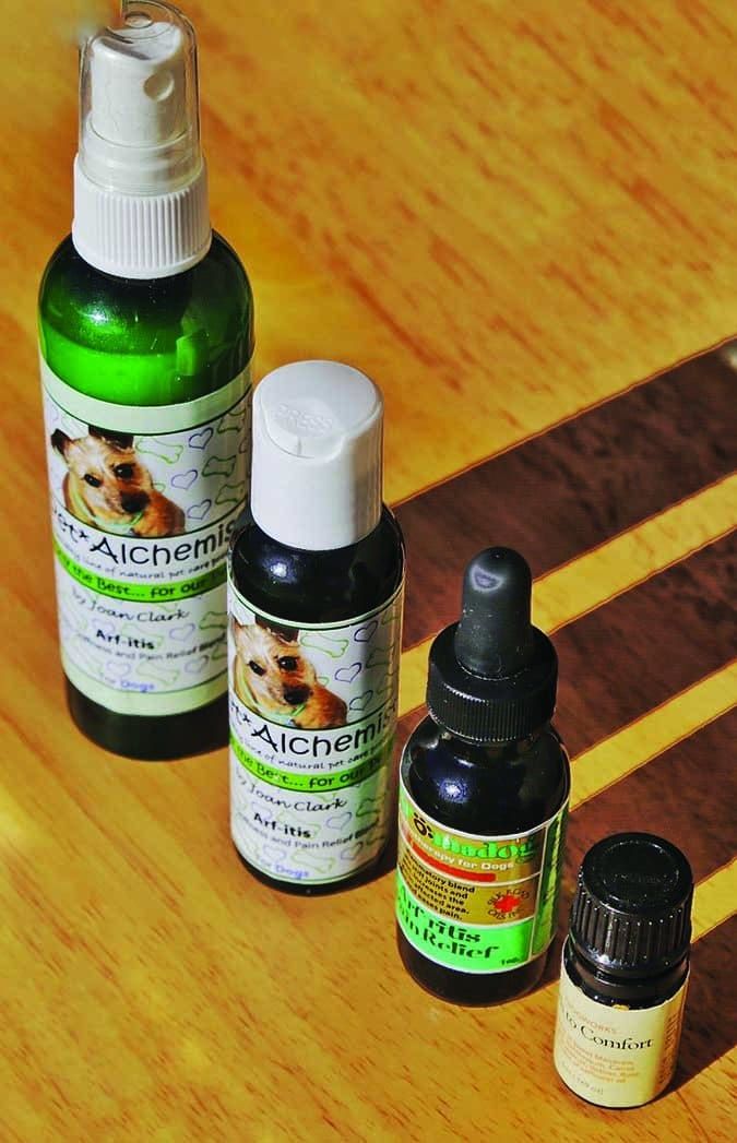 Aromatherapy for Your Dog s Arthritis Treatment Whole Dog Journal