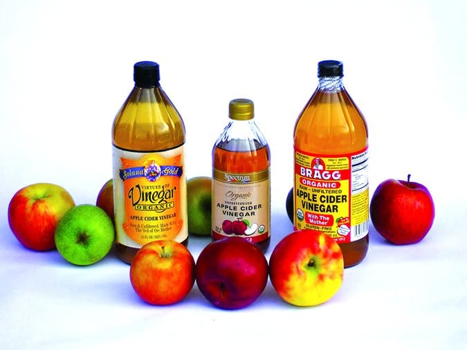 apple cider vinegar for dogs