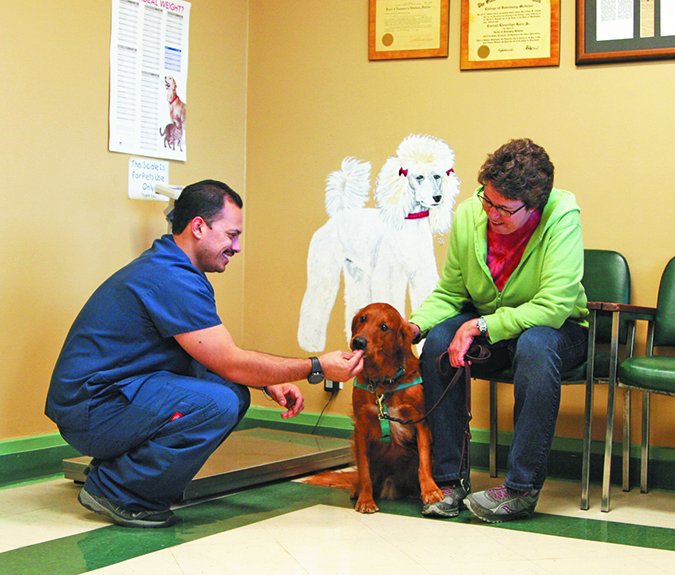 vet visits for dogs