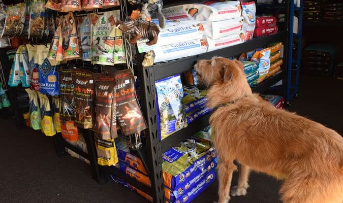 Whole food dog market hotsell
