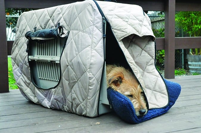 dog resting in crate