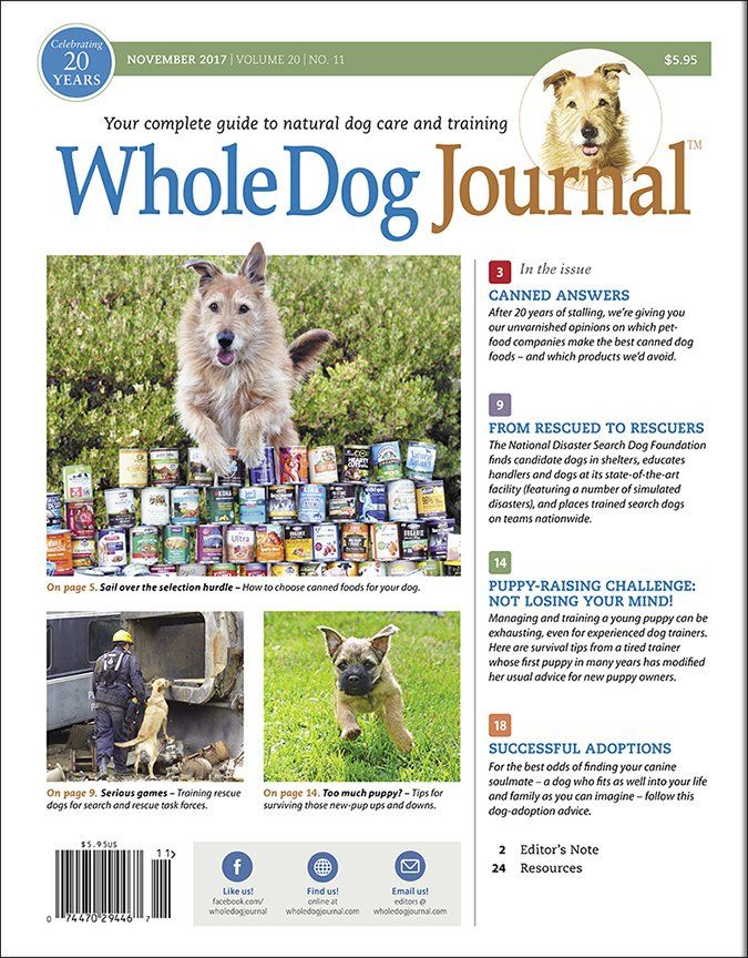 How to Make Homemade Dog Food - Whole Dog Journal