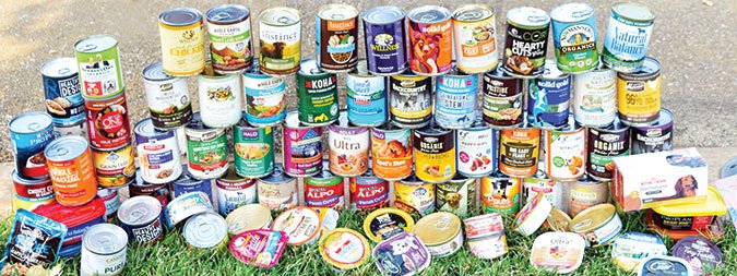 canned dog food varieties