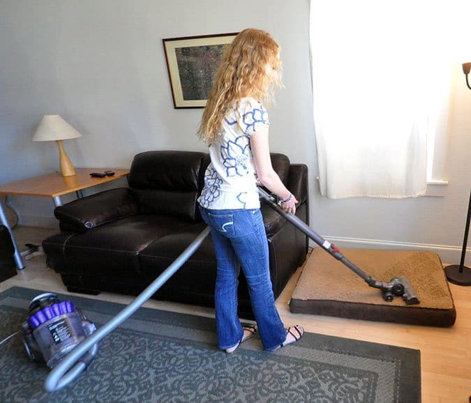 vacuuming for fleas