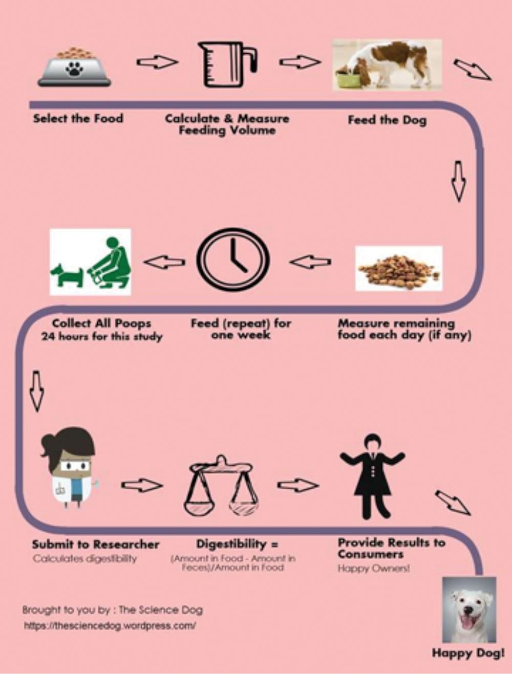 dog food digestibility infographic