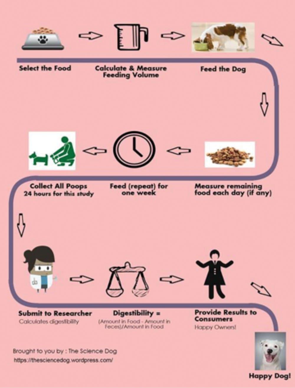 Dog Food Digestibility Levels Matter Whole Dog Journal Dog Food Digestibility Levels Matter Whole Dog Journal