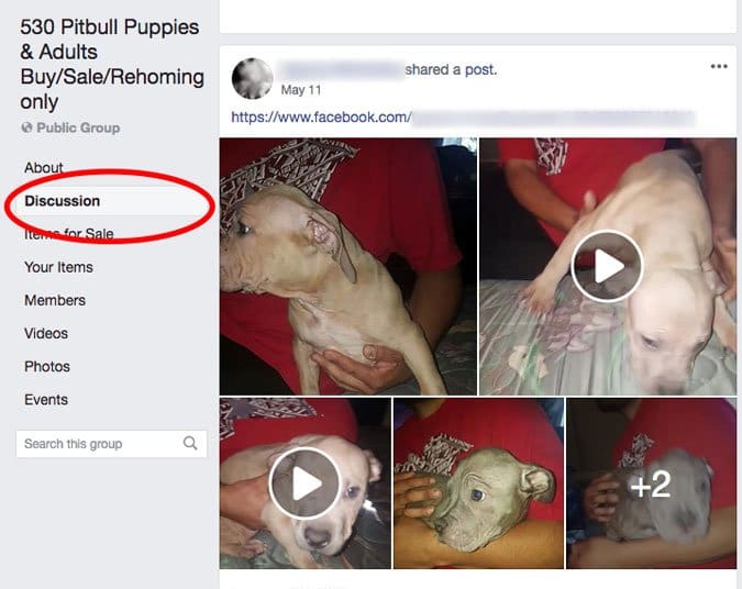 dogs on facebook