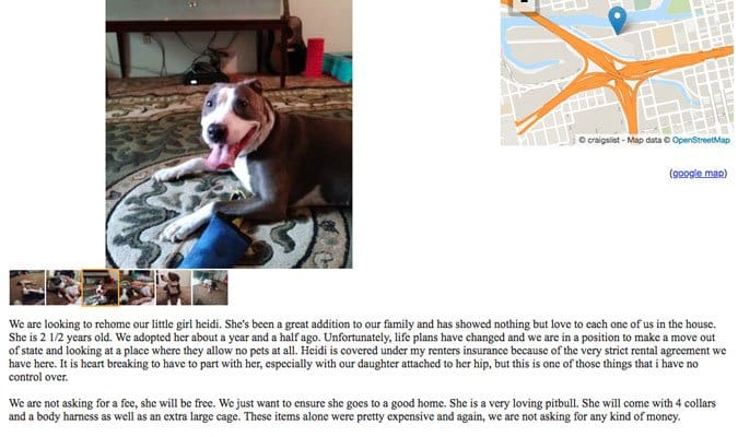 dogs on craigslist